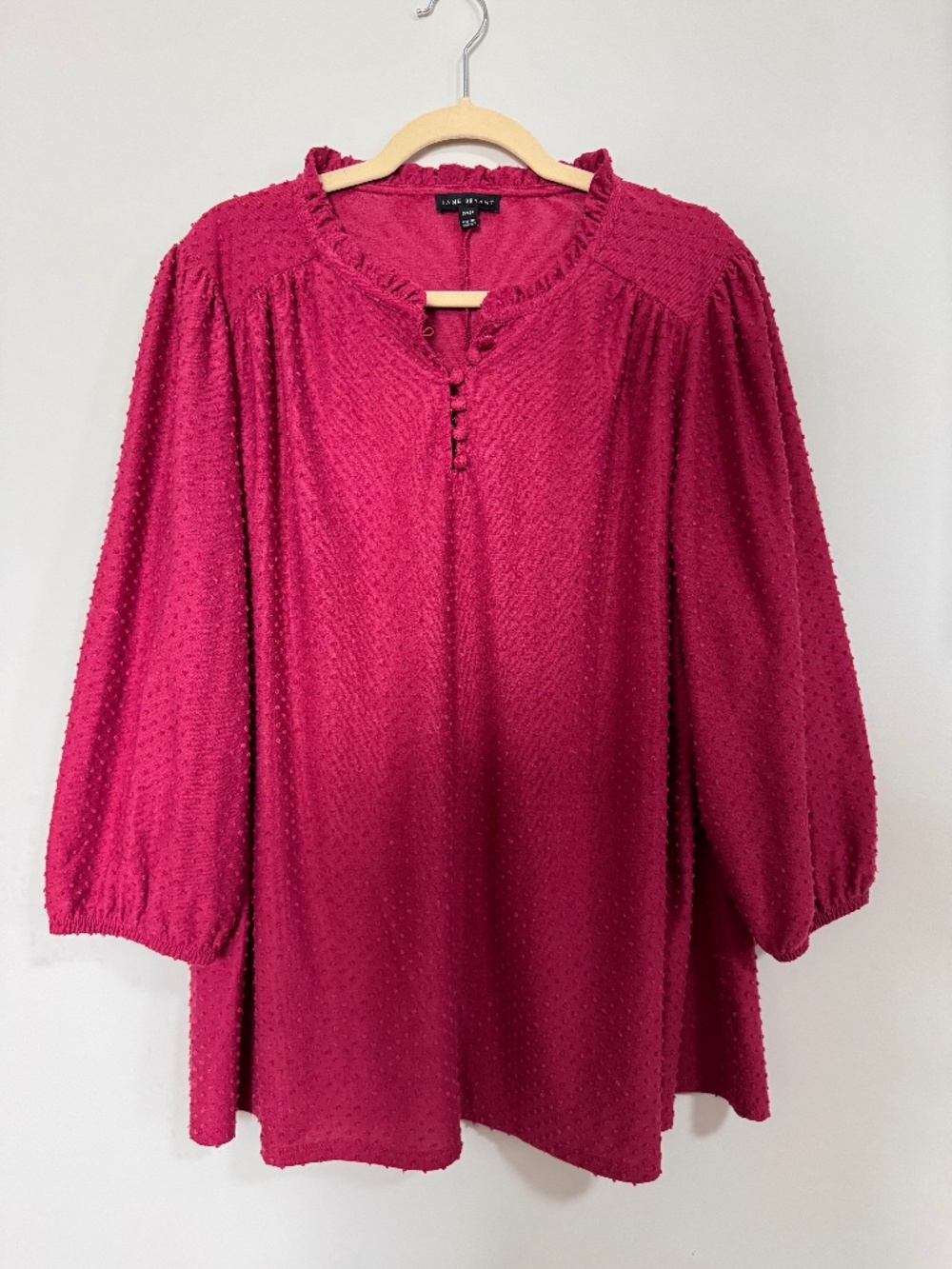 Lane Bryant Swiss Dot Top
